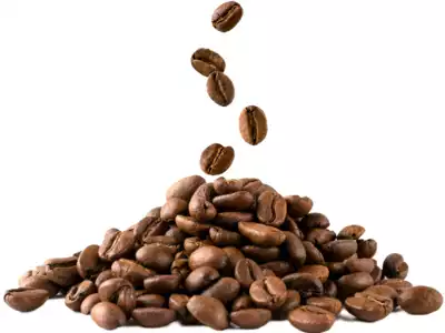 Kava