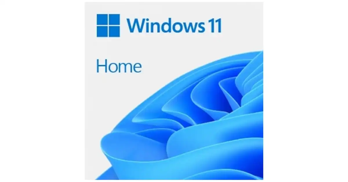 Windows Home 11 FPP angleški, USB