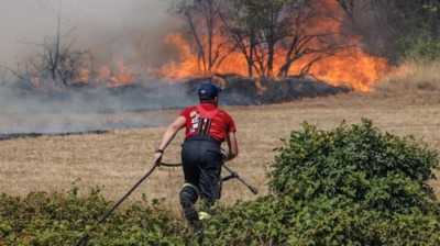 Što se događa na tržištu drvnih goriva? Slovenija sa svojom velikom šumovitošću nije samodostatna!