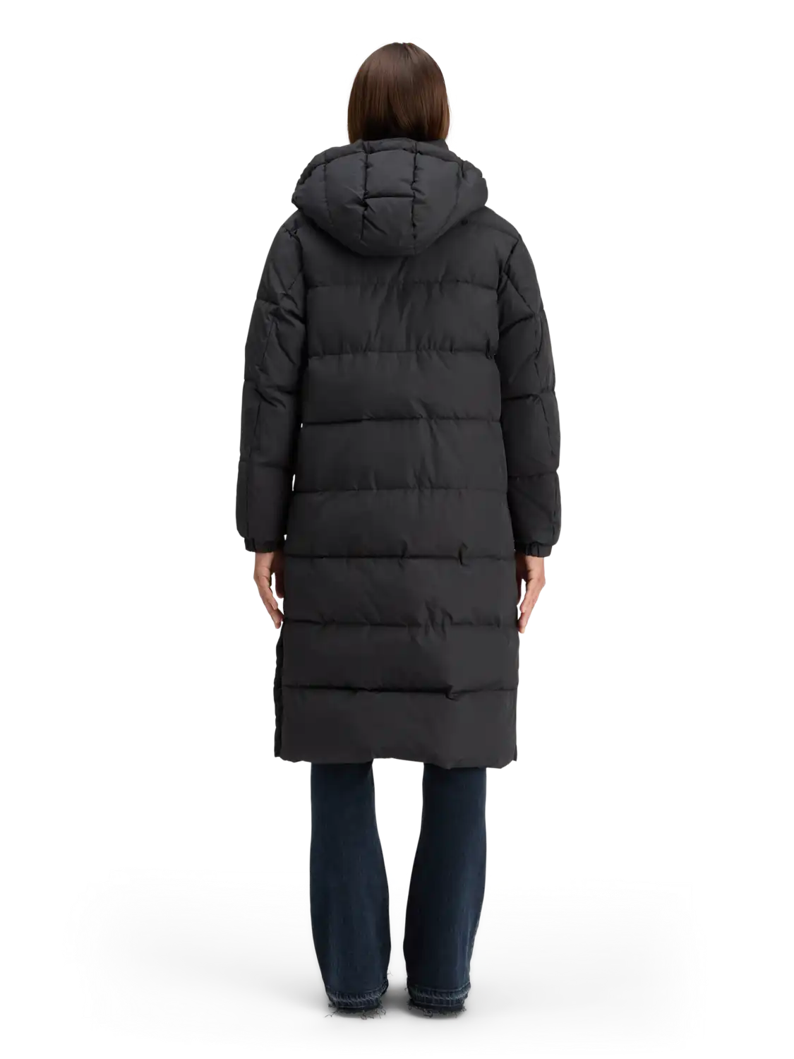 178071-U008-MDL-BCK.png