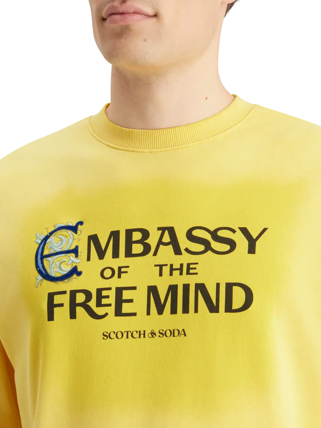 178466-7355-MDL-DTL1.png