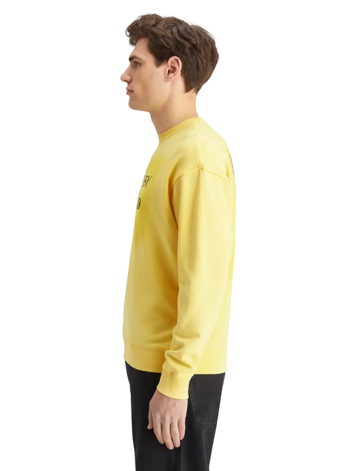 178466-7355-MDL-SDE.png