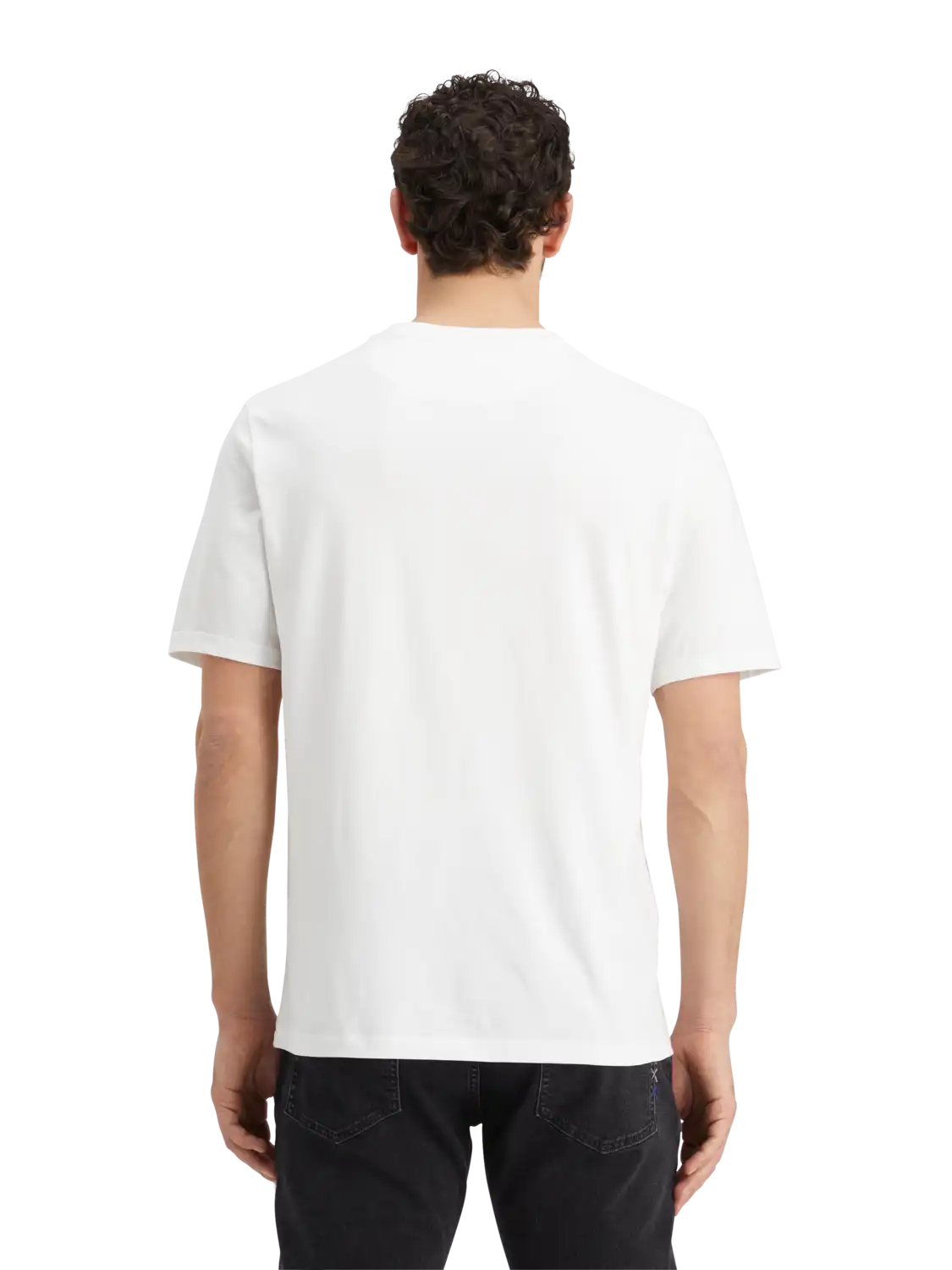 179191-0006-MDL-BCK.png