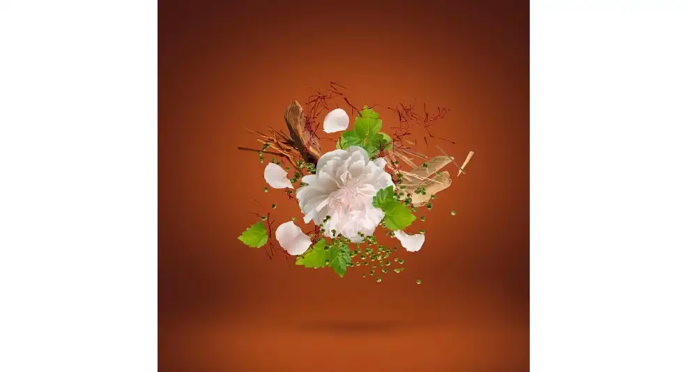 1888eau-de-parfum-100-ml.jpg