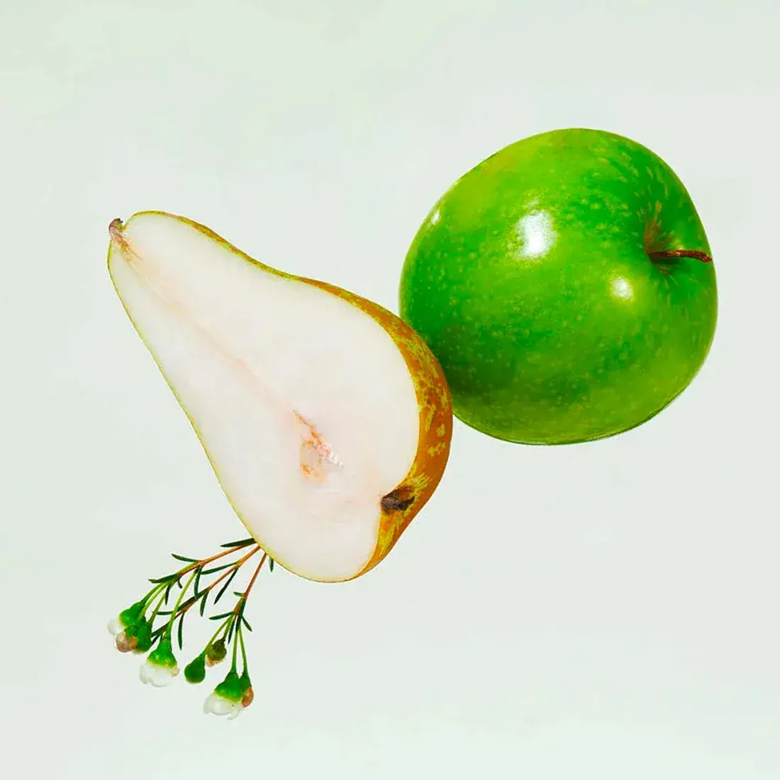 201_new_ingredient.webp