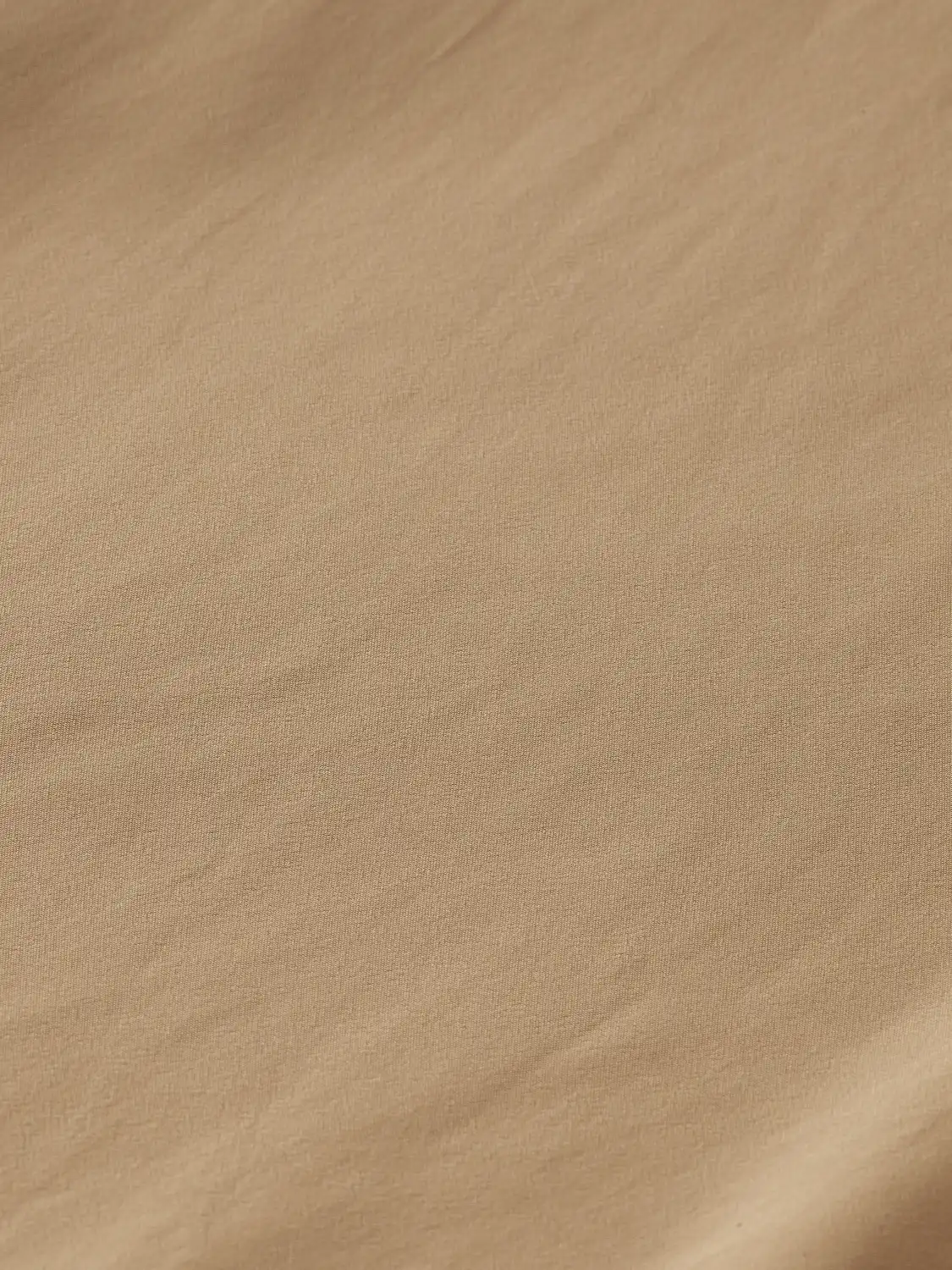 24170799-DTL6.png