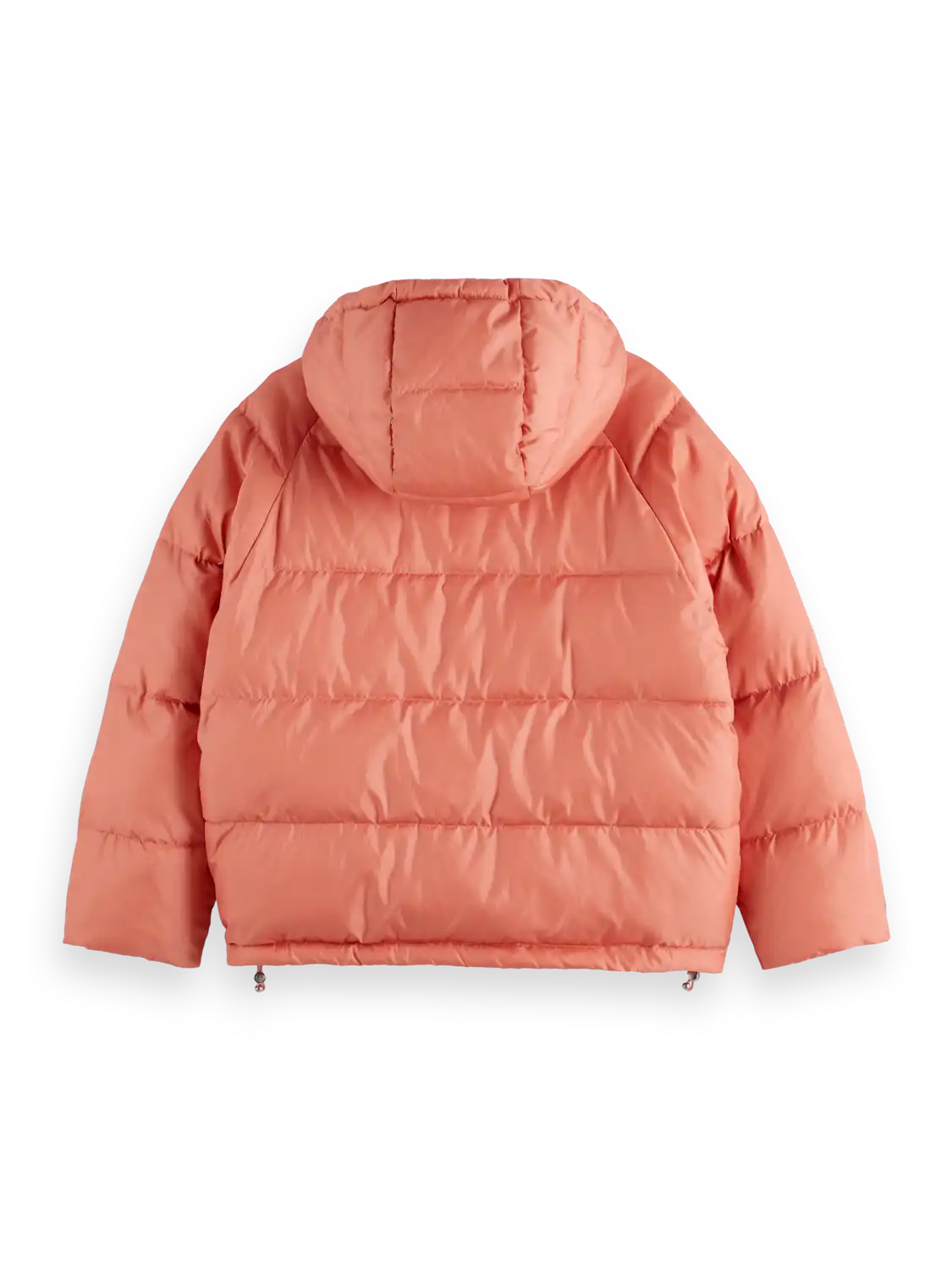 24171707-BCK.png