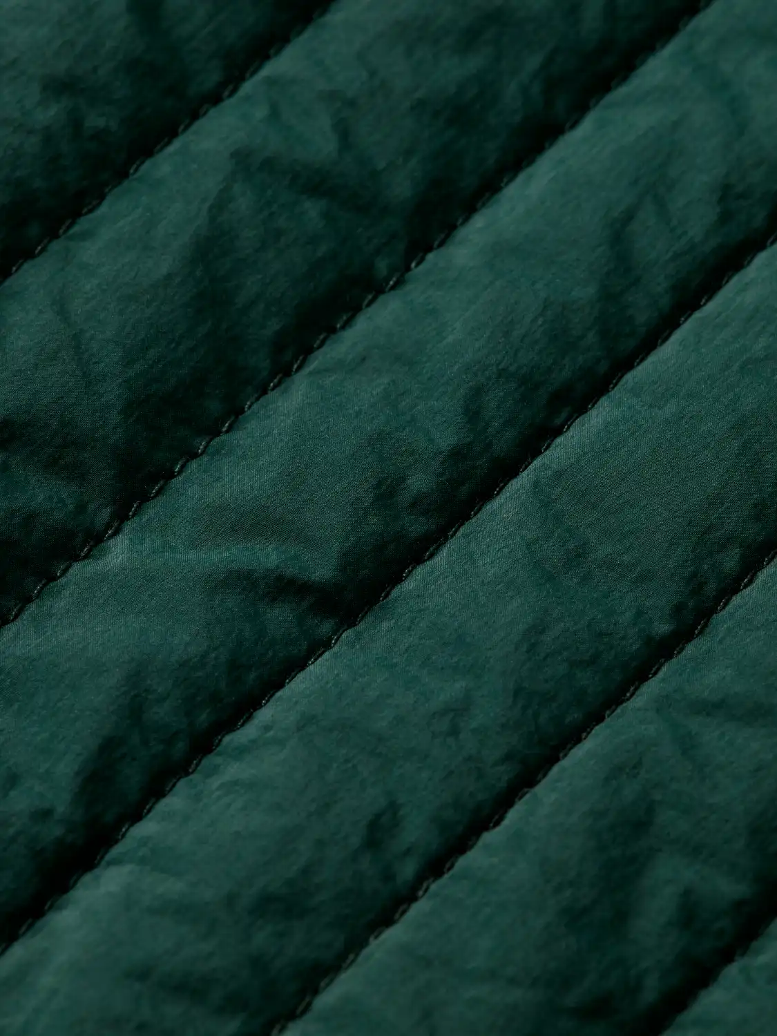 25175065-DTL6.png