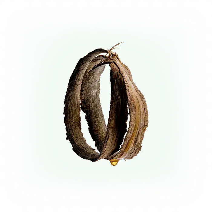 4-ScentFlatlay_2024_Katrafay.webp