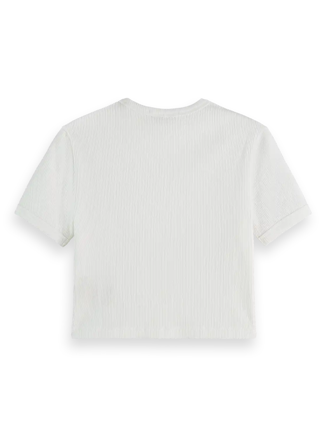 96172881-BCK.png