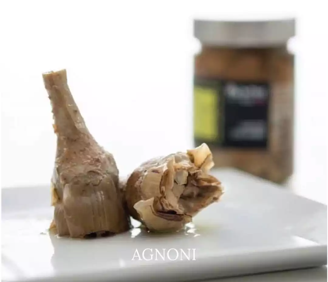 AGNONI.png