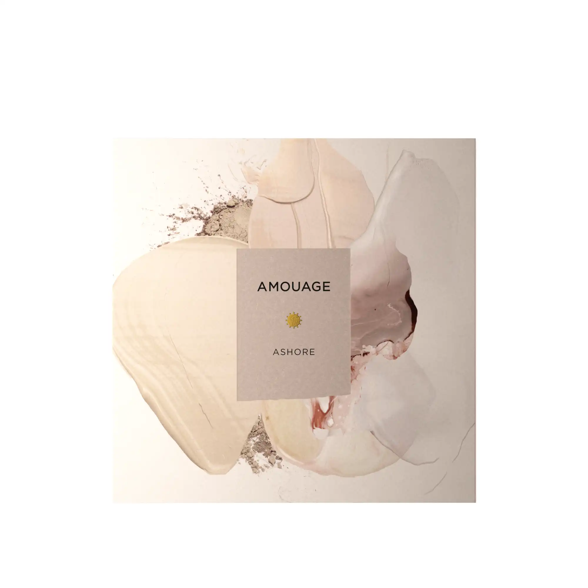 Box_Front_Renaissance_Ashore_000.png
