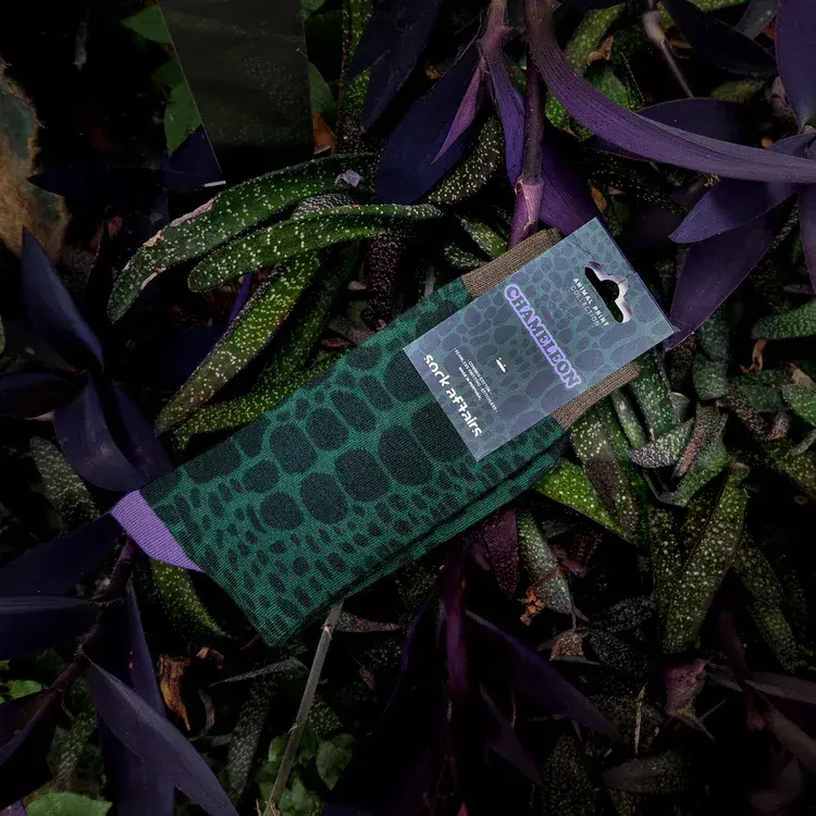 CHAMELEON_LIFESTYLE_ANIMALPRINTS_750x.webp