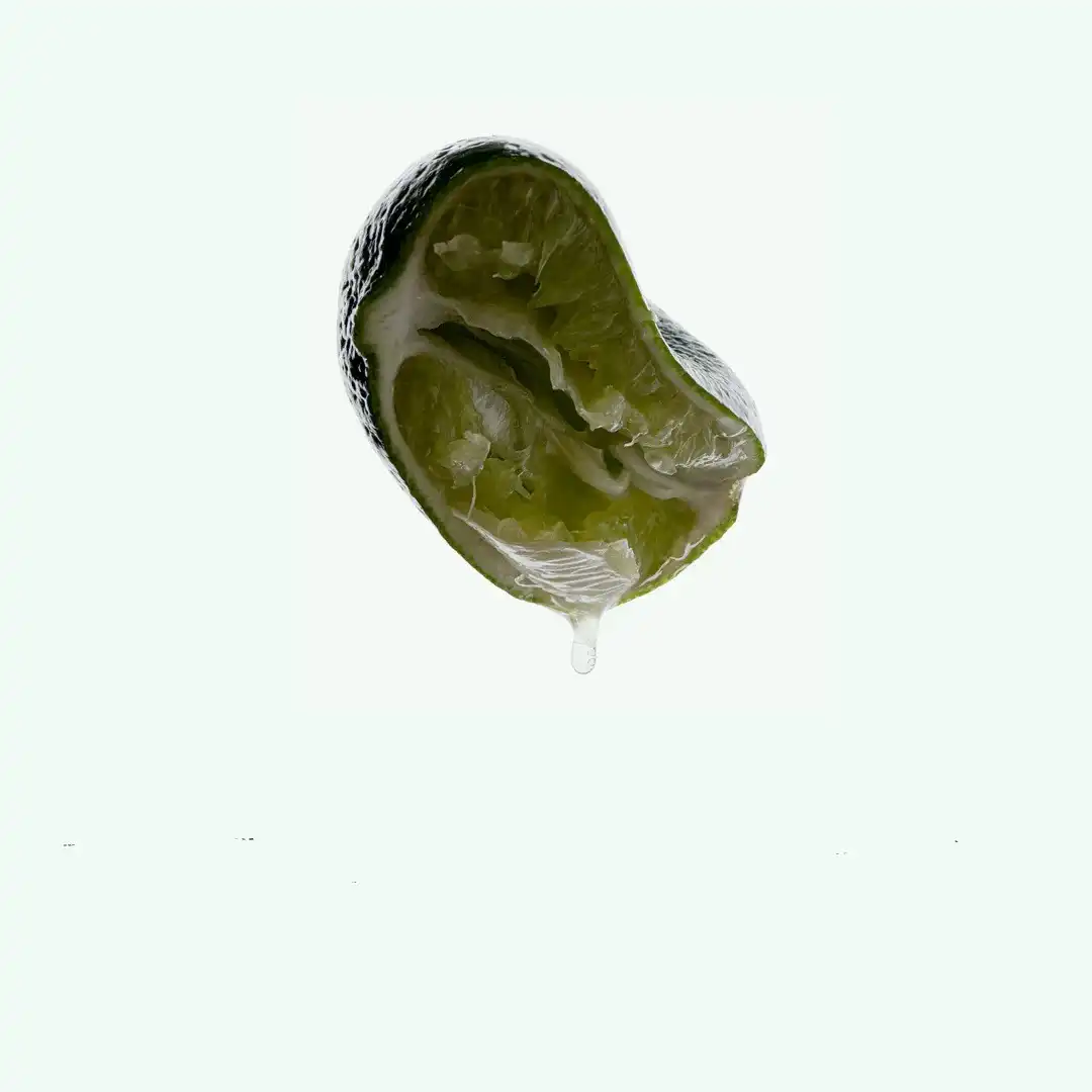 Corpus.com_ScentFlatlay_2025_NoGreen_05897ae7-4cc4-4a30-8c9e-39bd31fb001d.jpg