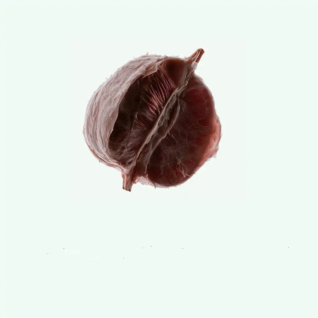 Corpus.com_ScentFlatlay_2025_Pomelo.jpg