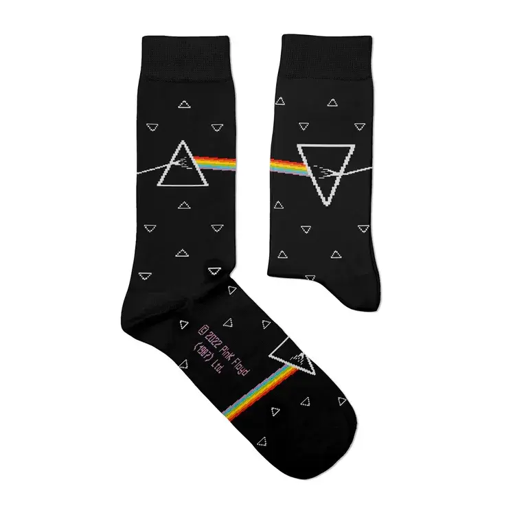 Dard_Side_of_the_Moon_PinkFloyd2022_Plano_750x.webp