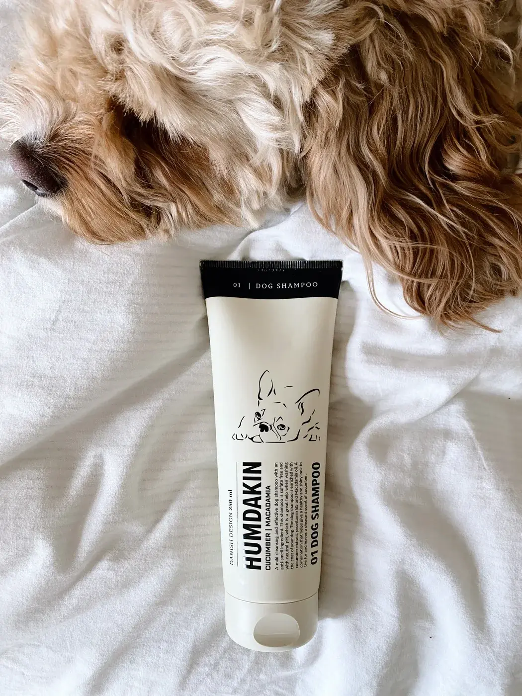 Dog_Shampoo-Accessories-489-1.webp