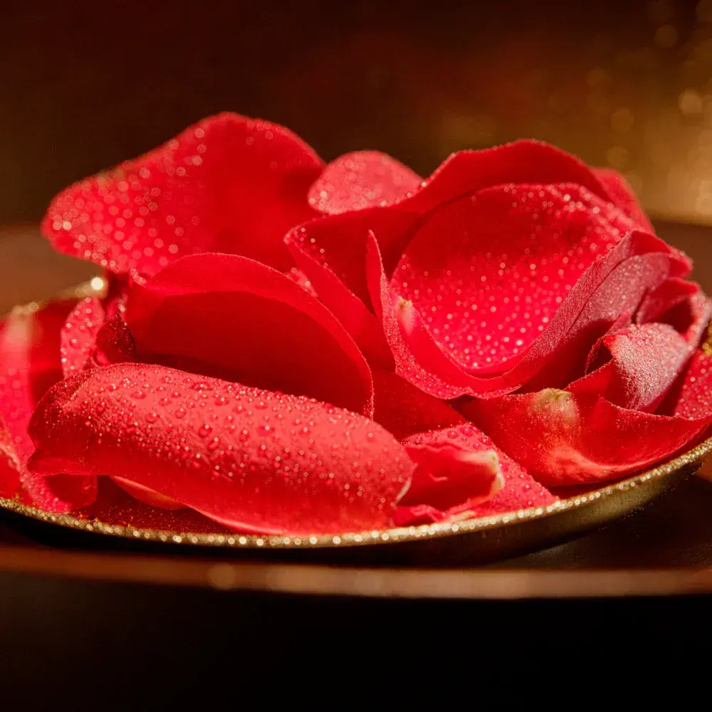 Electimuss-Moroccan-Medjool-carnation.webp