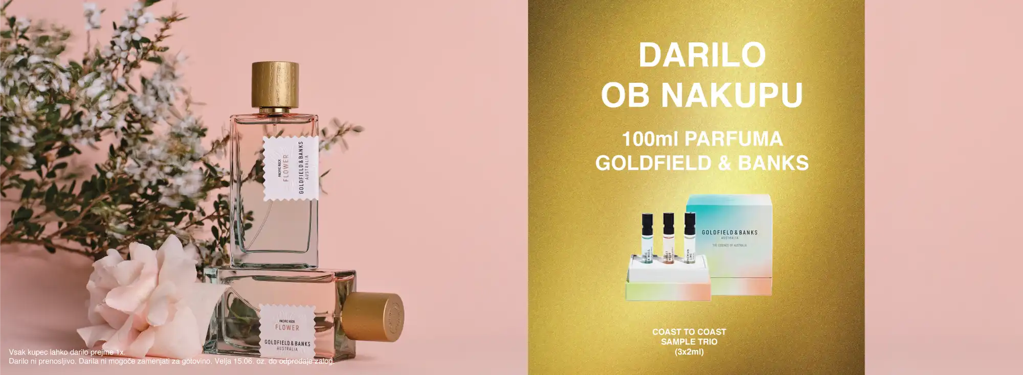 GOLDFIELD-GRAFIKA-new-1.png