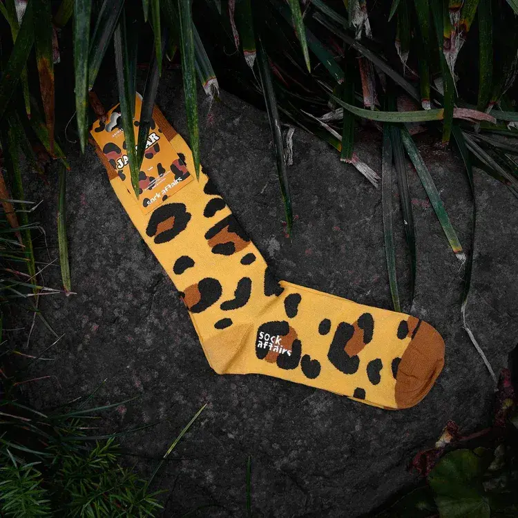 JAGUAR_LIFESTYLE_ANIMALPRINTS_750x.webp