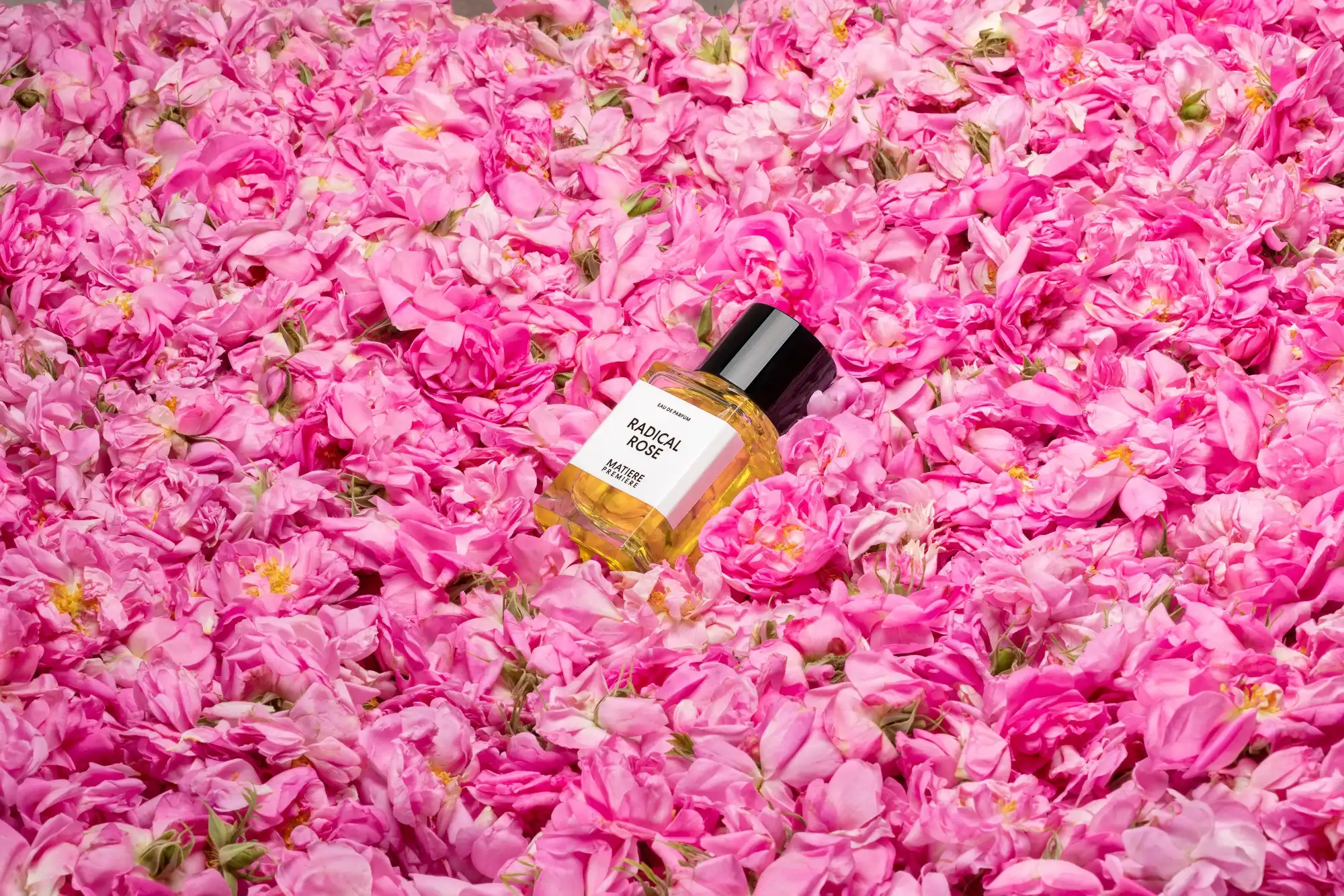 MP_Radical_Rose_3770007317469_100ml_EDP_Lifestyle_image_W3500xH2333px.jpg