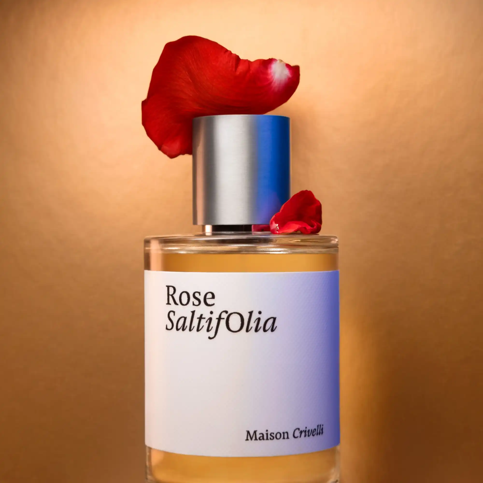 Maison_Crivelli_Rose_Saltifolia_mood_1.jpg