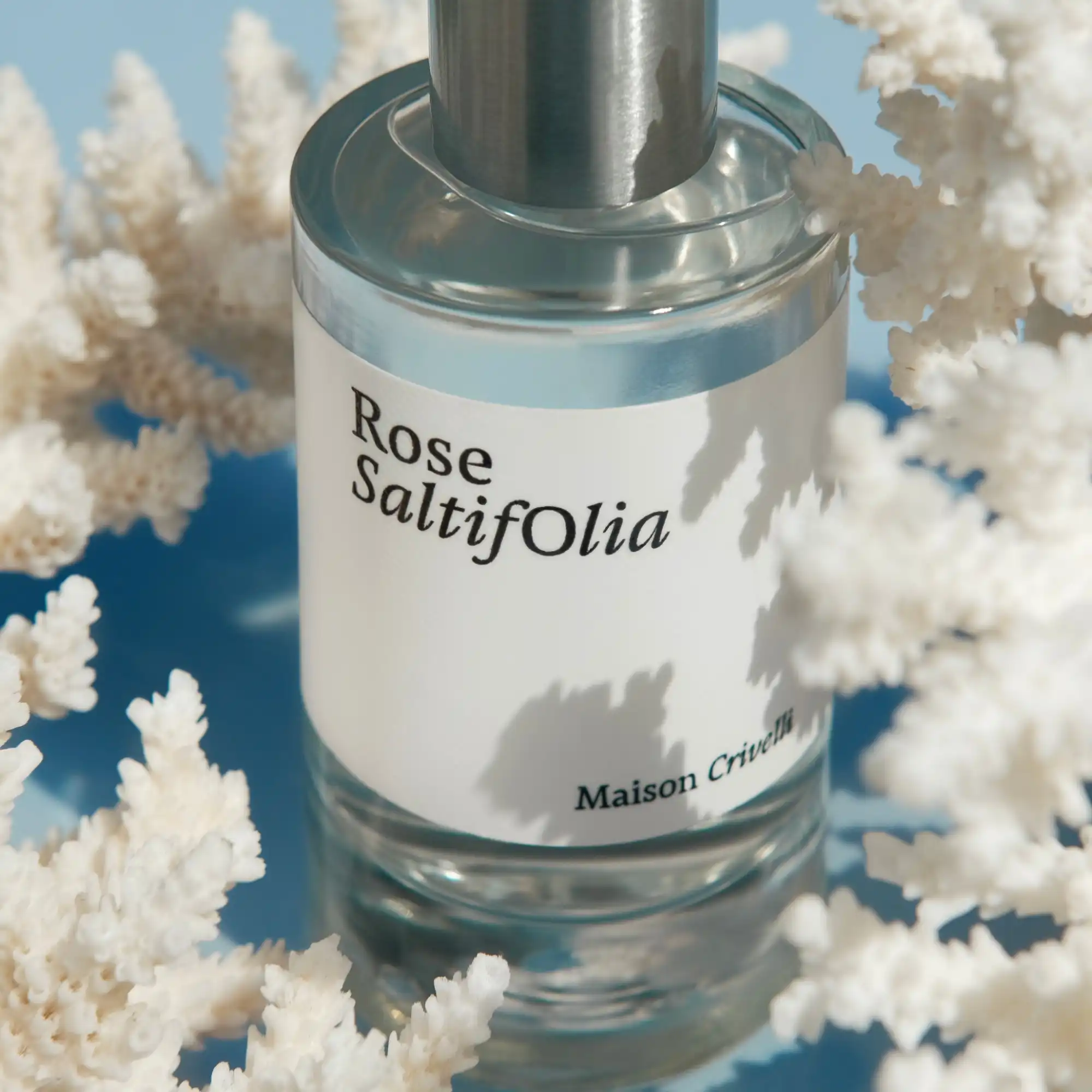 Maison_Crivelli_Rose_Saltifolia_mood_3.jpg