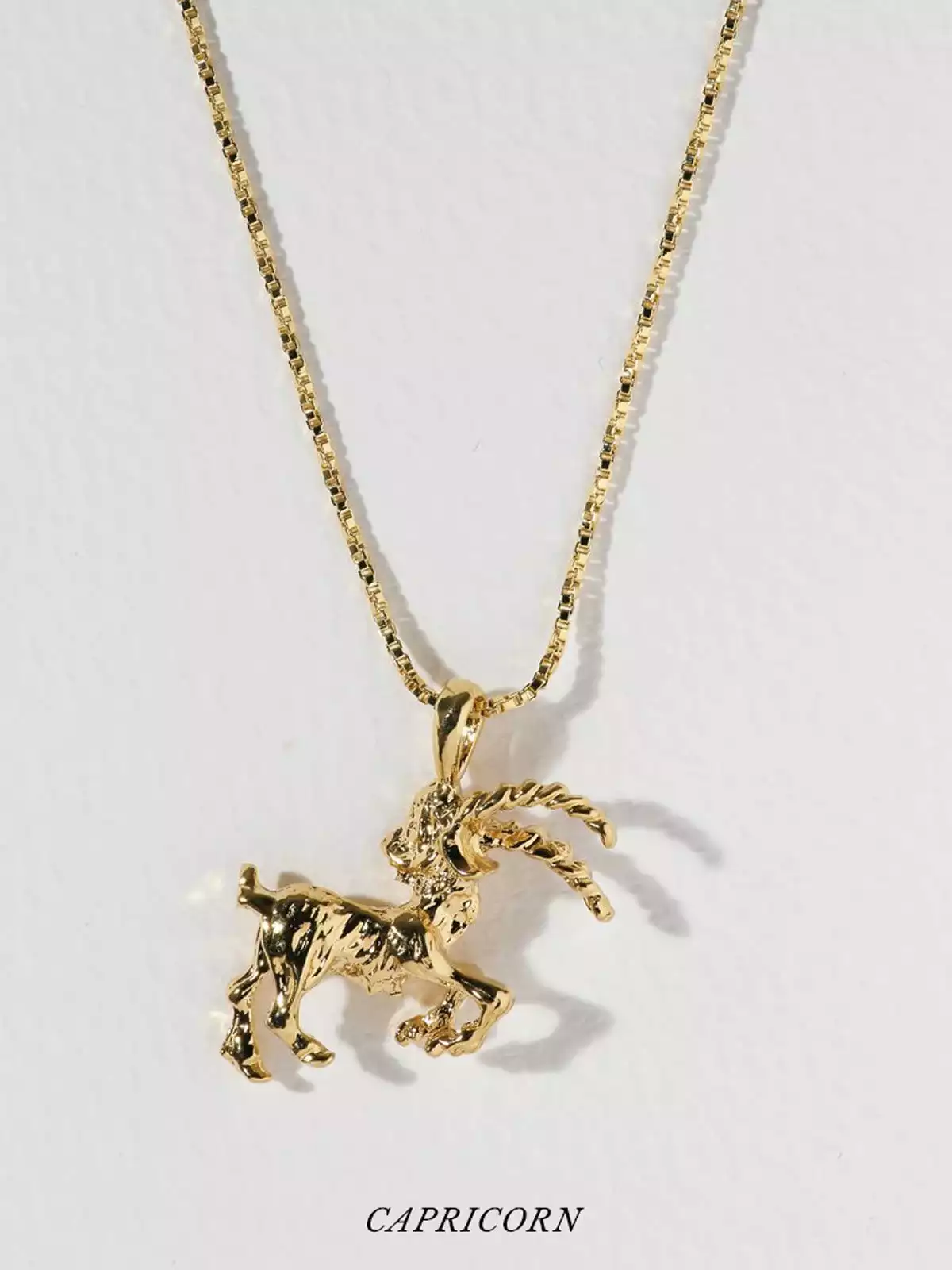 VANESSA MOONEY Necklace The Zodiac Sign Necklace Capricorn