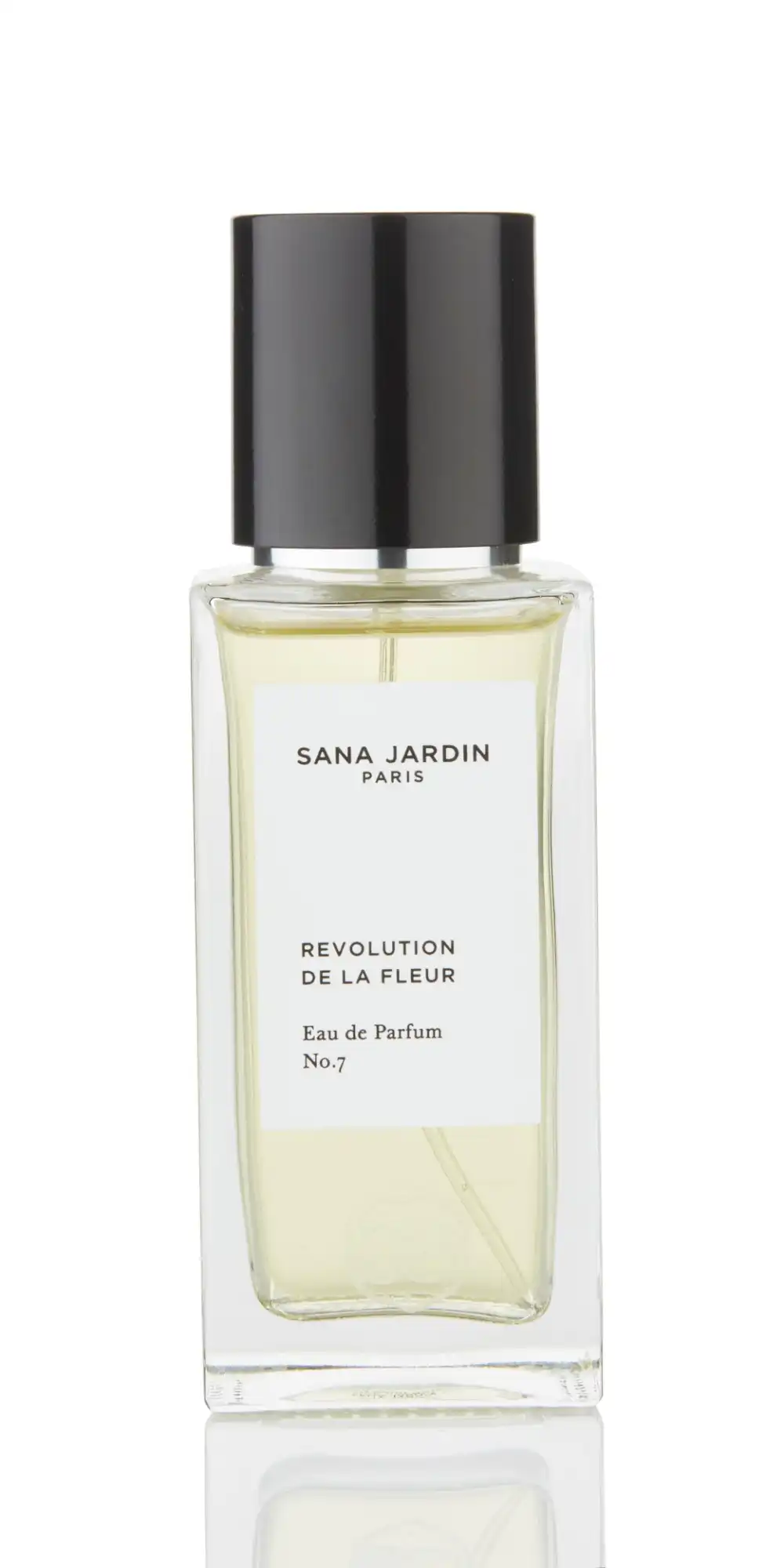 REVOLUTION_DE_LA_FLEUR_NO_7.jpg