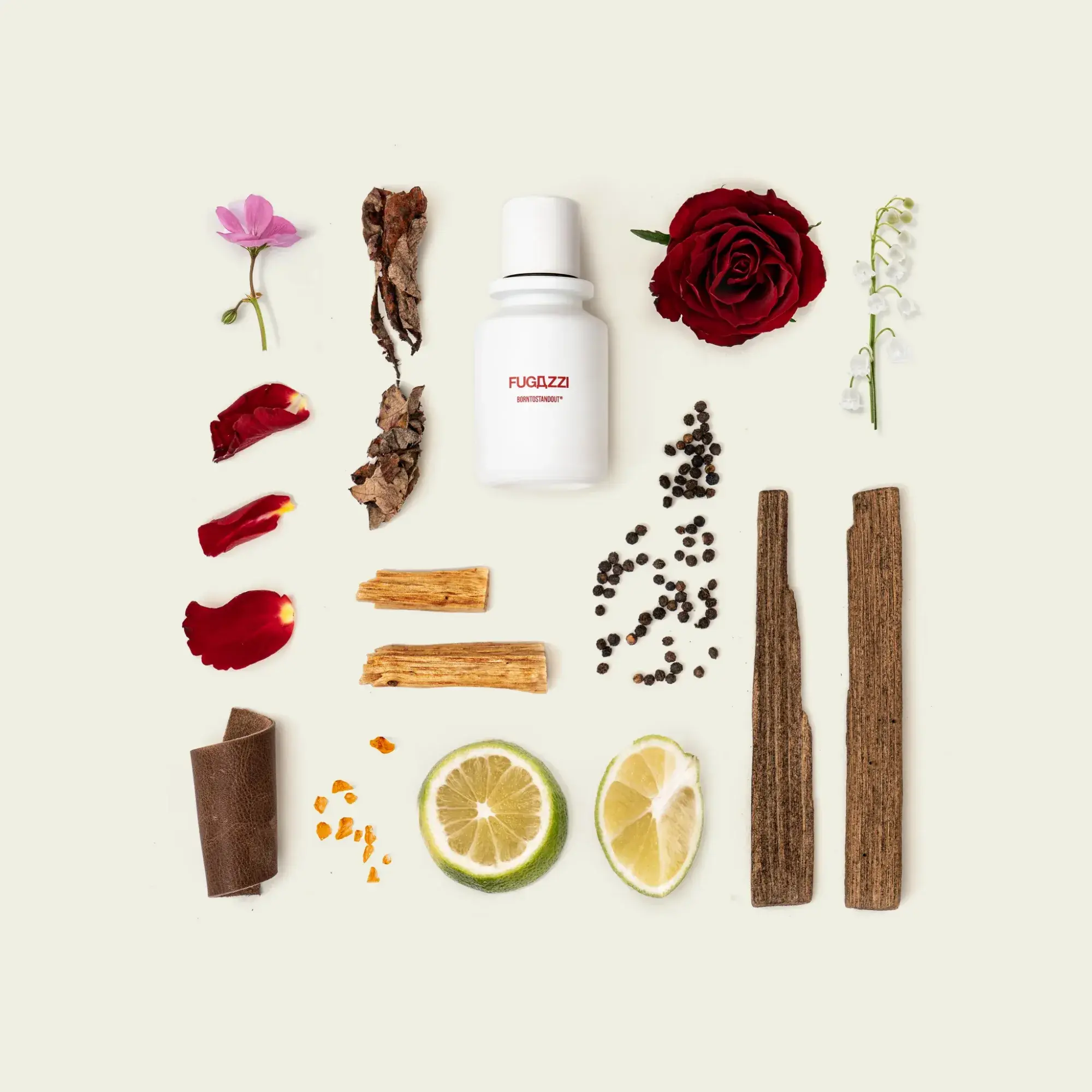 all_the_ingridients_beige_Fugazzi_2048x2048.webp