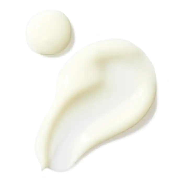 ezgif.com-webp-to-pngzzz.png