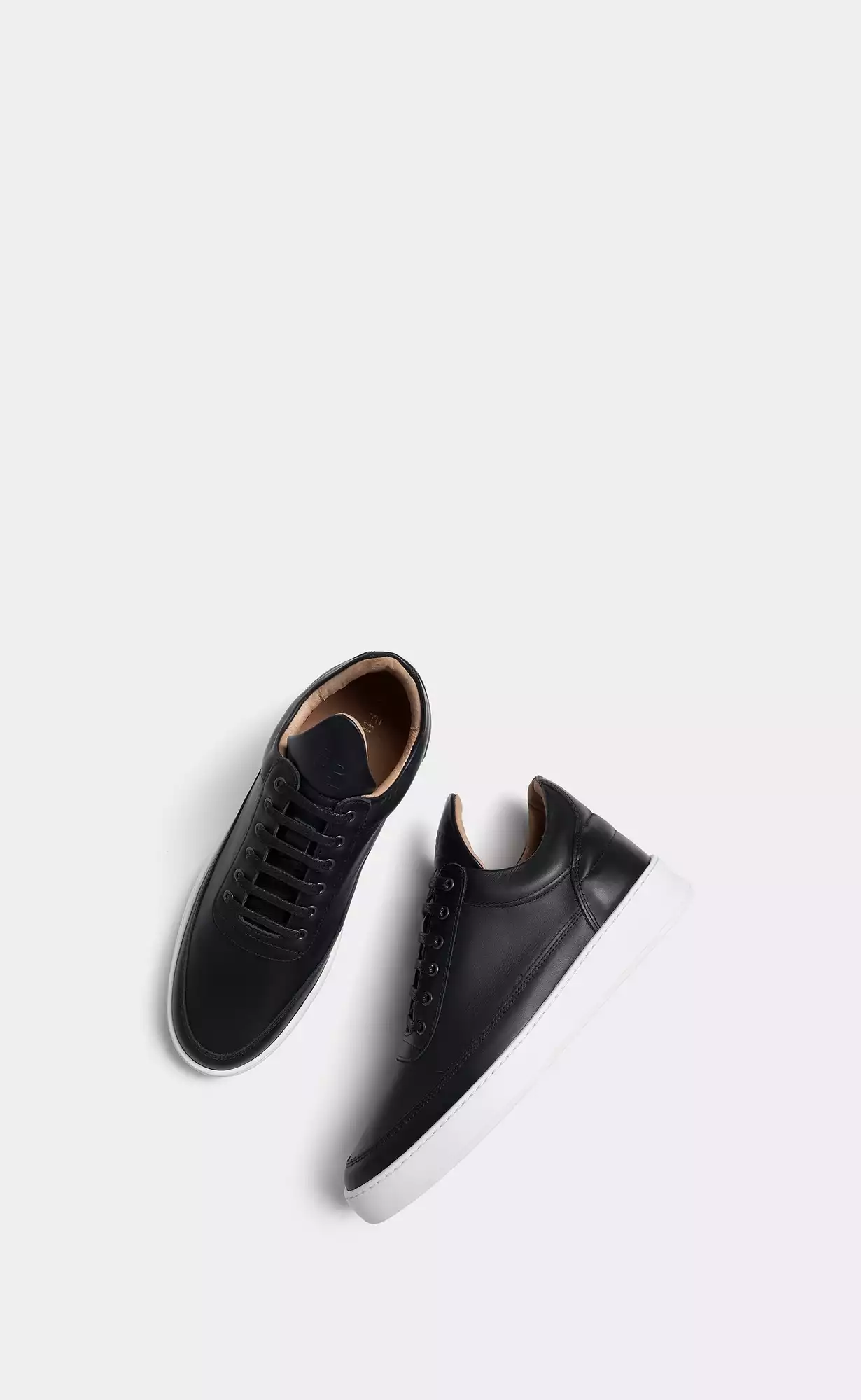 import_8719819163852-4_2500x.jpg
