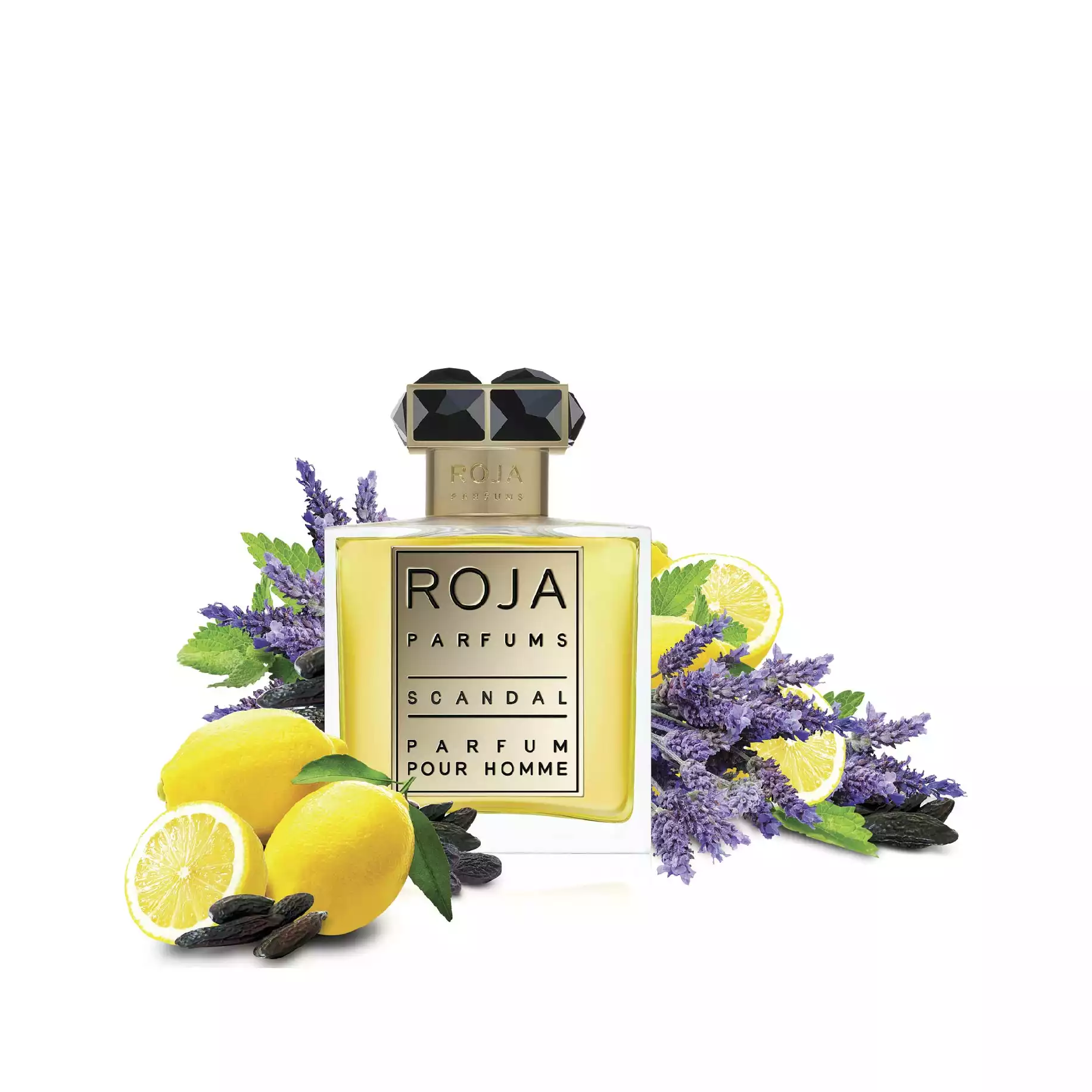 import_roja-18.jpg