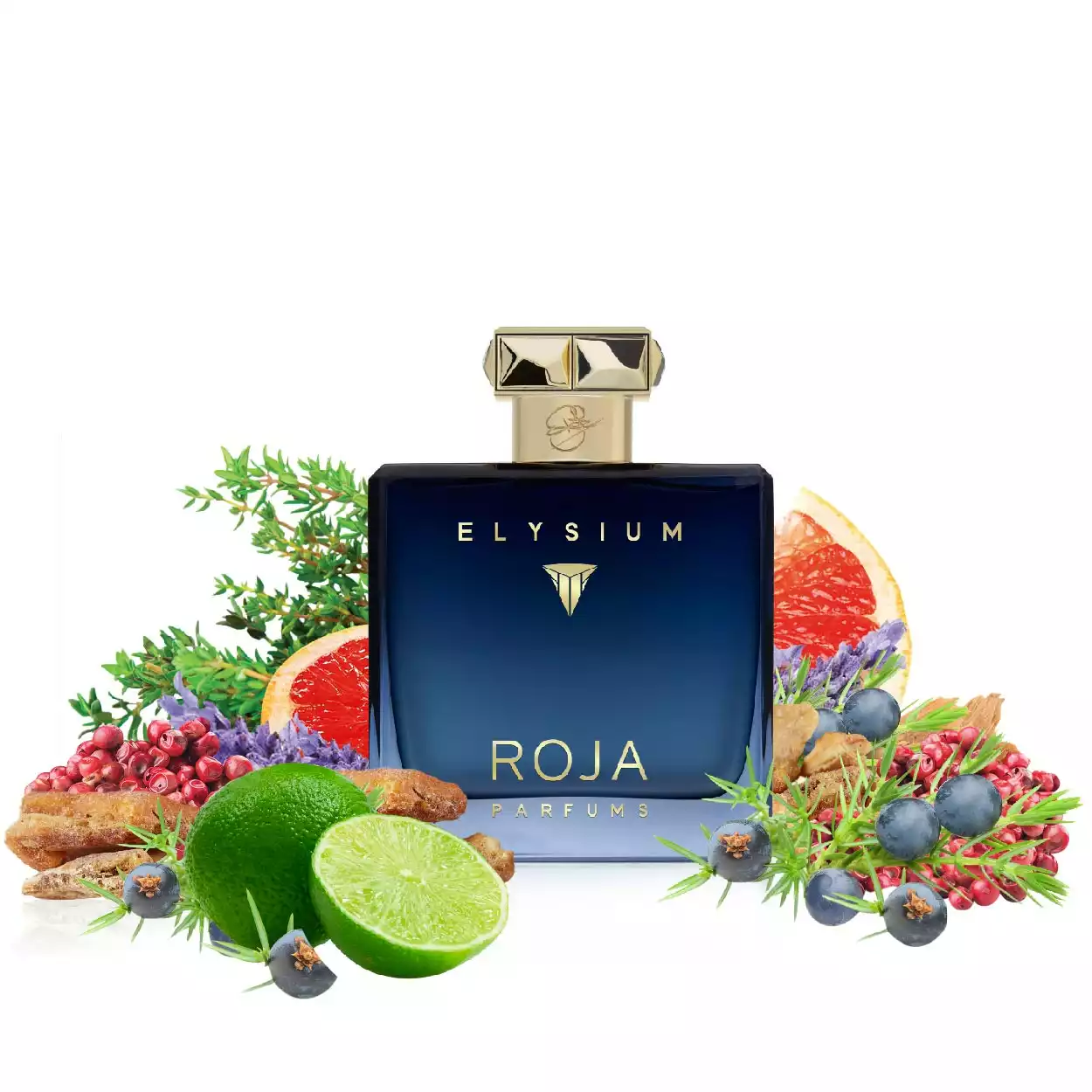 import_roja_elysium-01.jpg