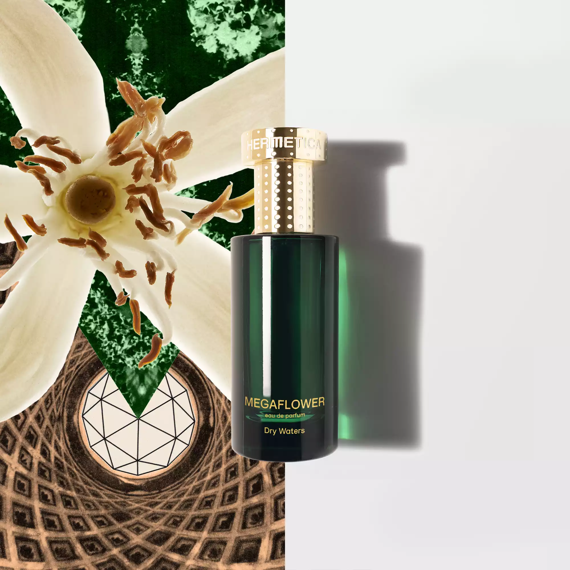 megaflower_50ml.png