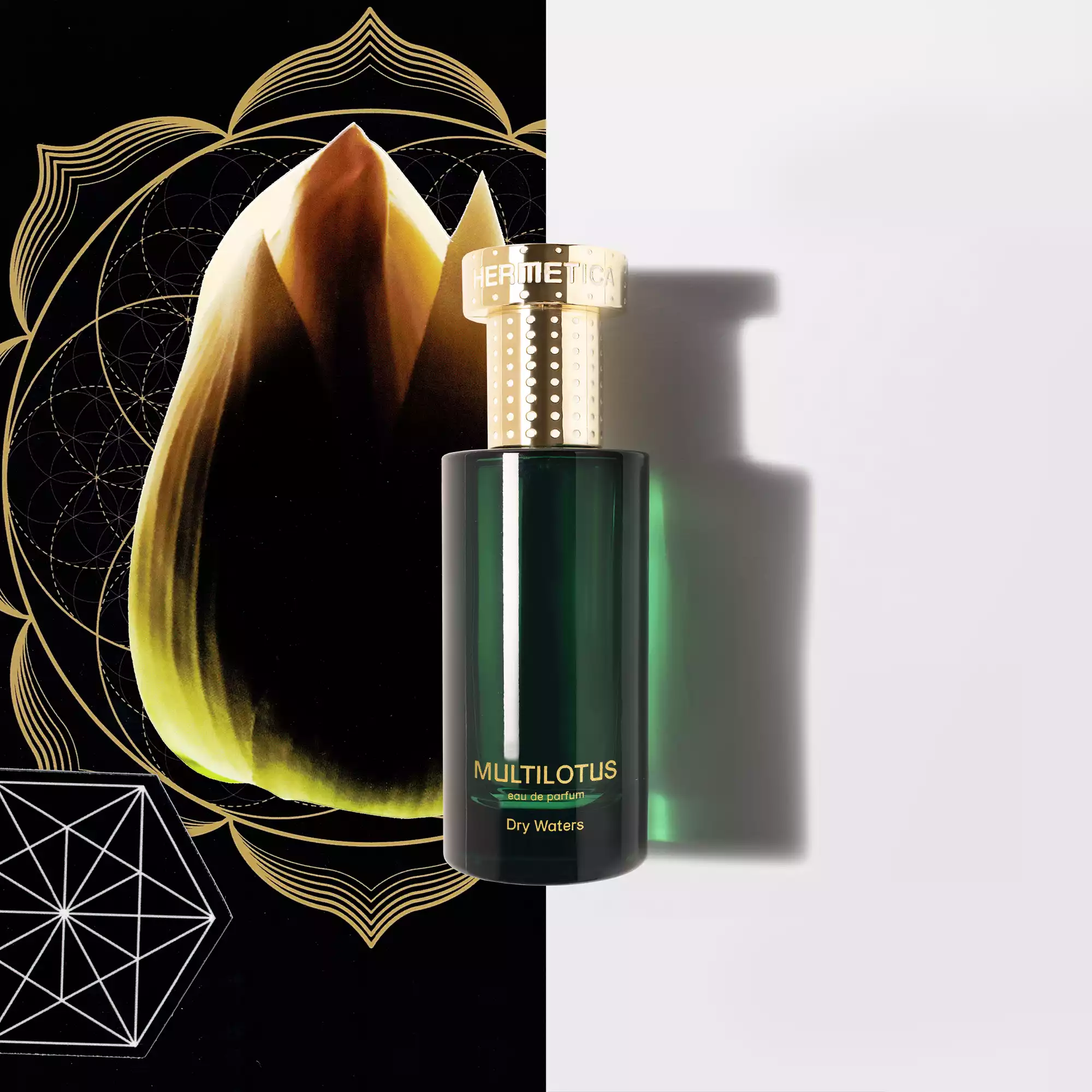 multilotus_50ml.png