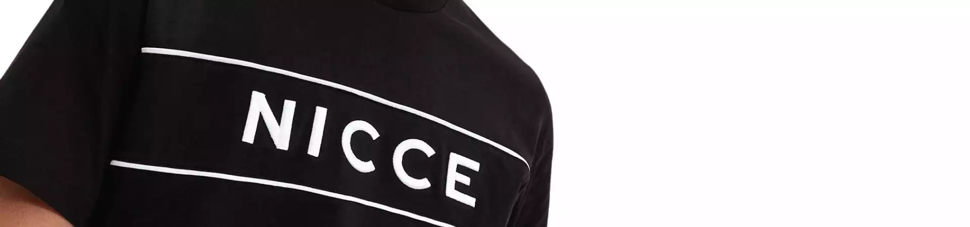  NICCE