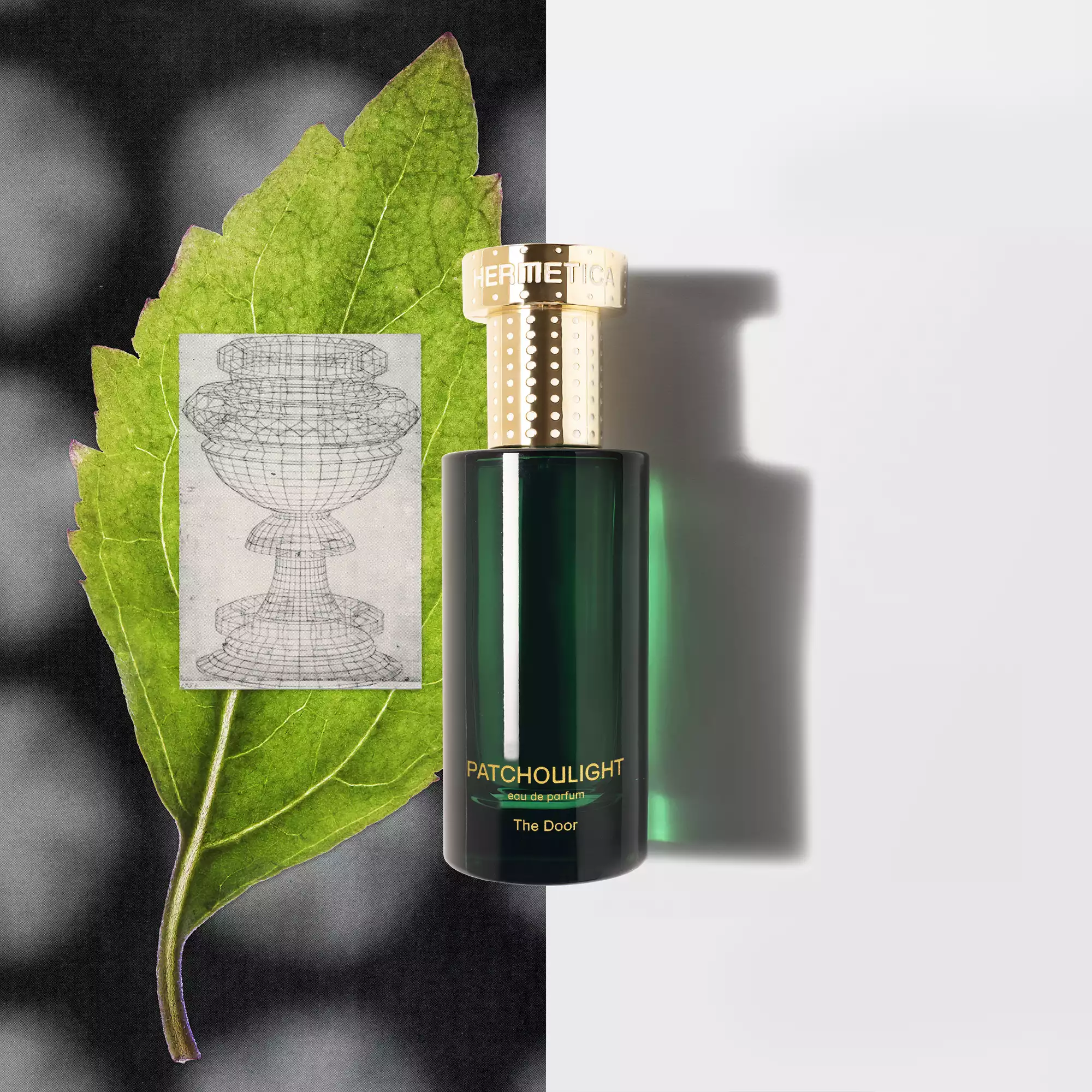 patchoulight_50ml.png