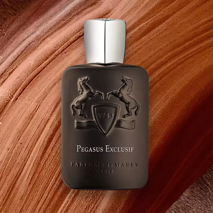 pegasus-exclusif-lifestyle-2_03f87171-78ee-481f-b1cd-f445aeeff80d_900x.jpg