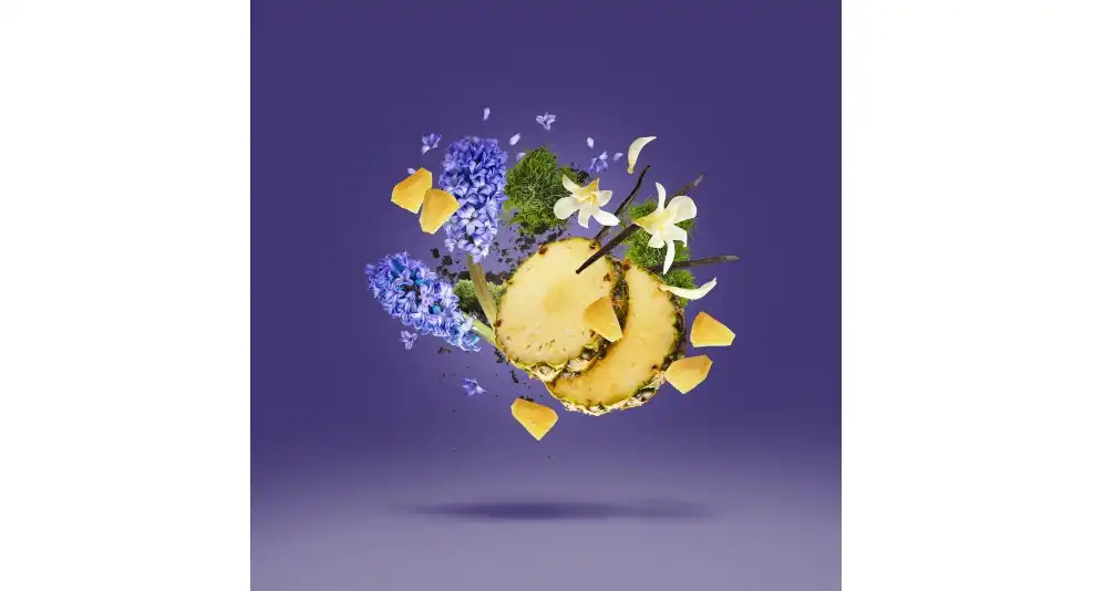 purple-accento-.jpg