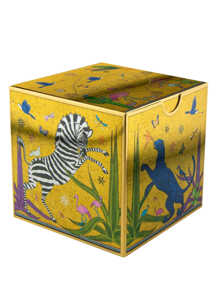 tazza_sahara_box_2717_web.webp