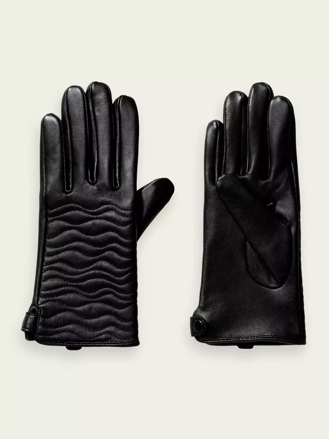 xlarge-21145639-FNT.png