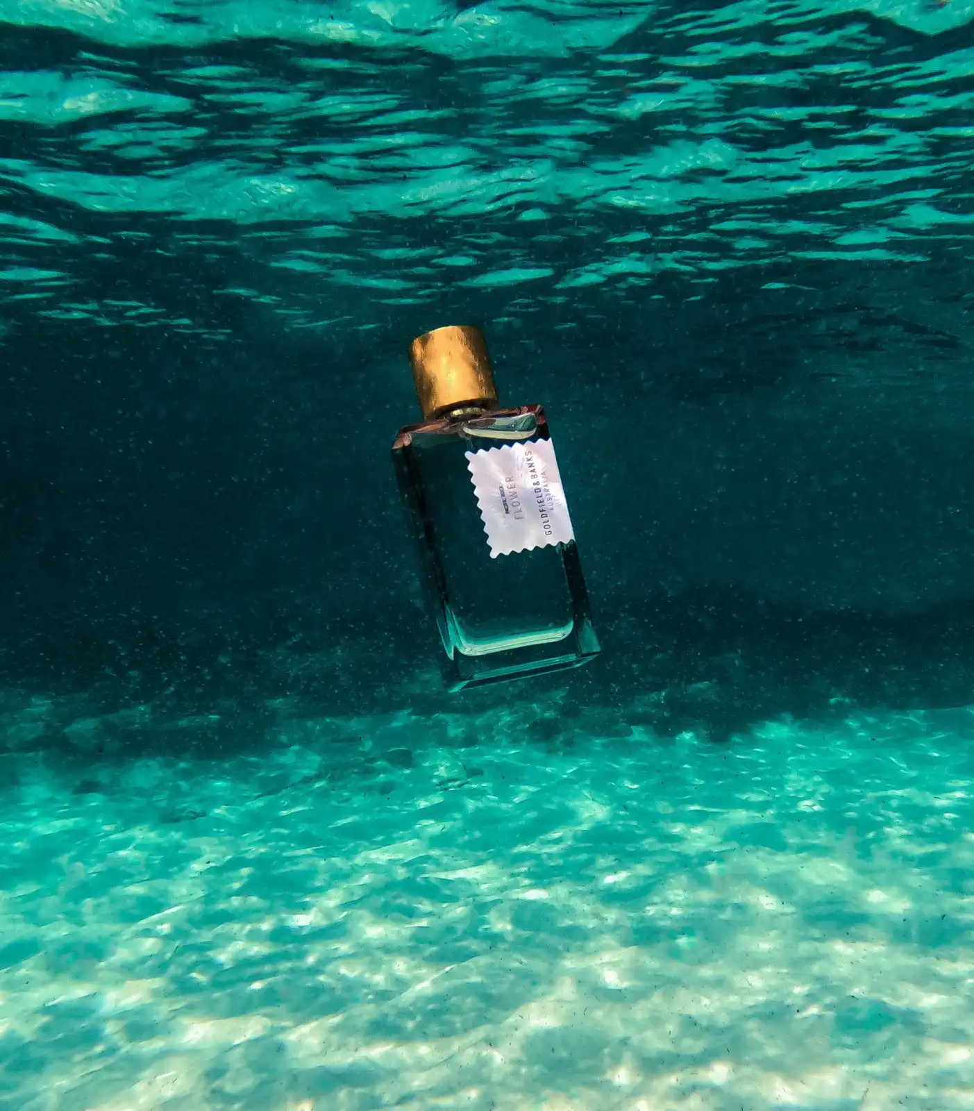 Novo v Ikona Art Perfumery