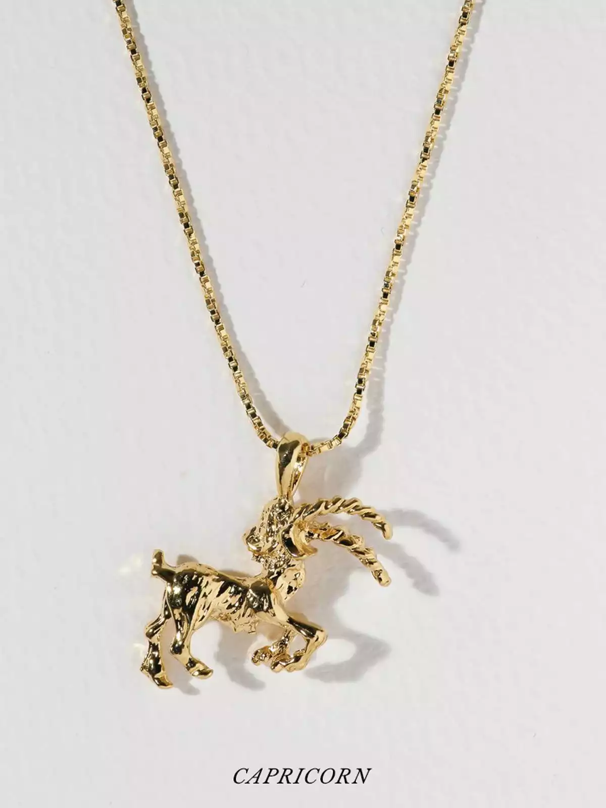 Necklace “The Zodiac Sign Necklace Capricorn
