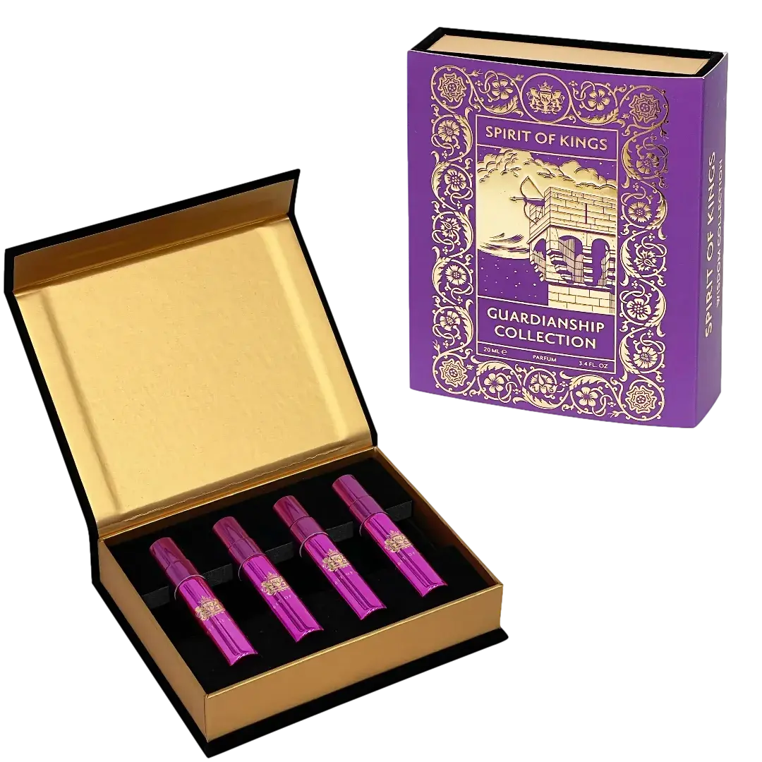 DISCOVERY SET GUARDIANSHIP COLLECTION