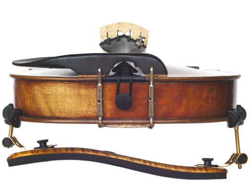 VLM Augustin Diamond - Viola