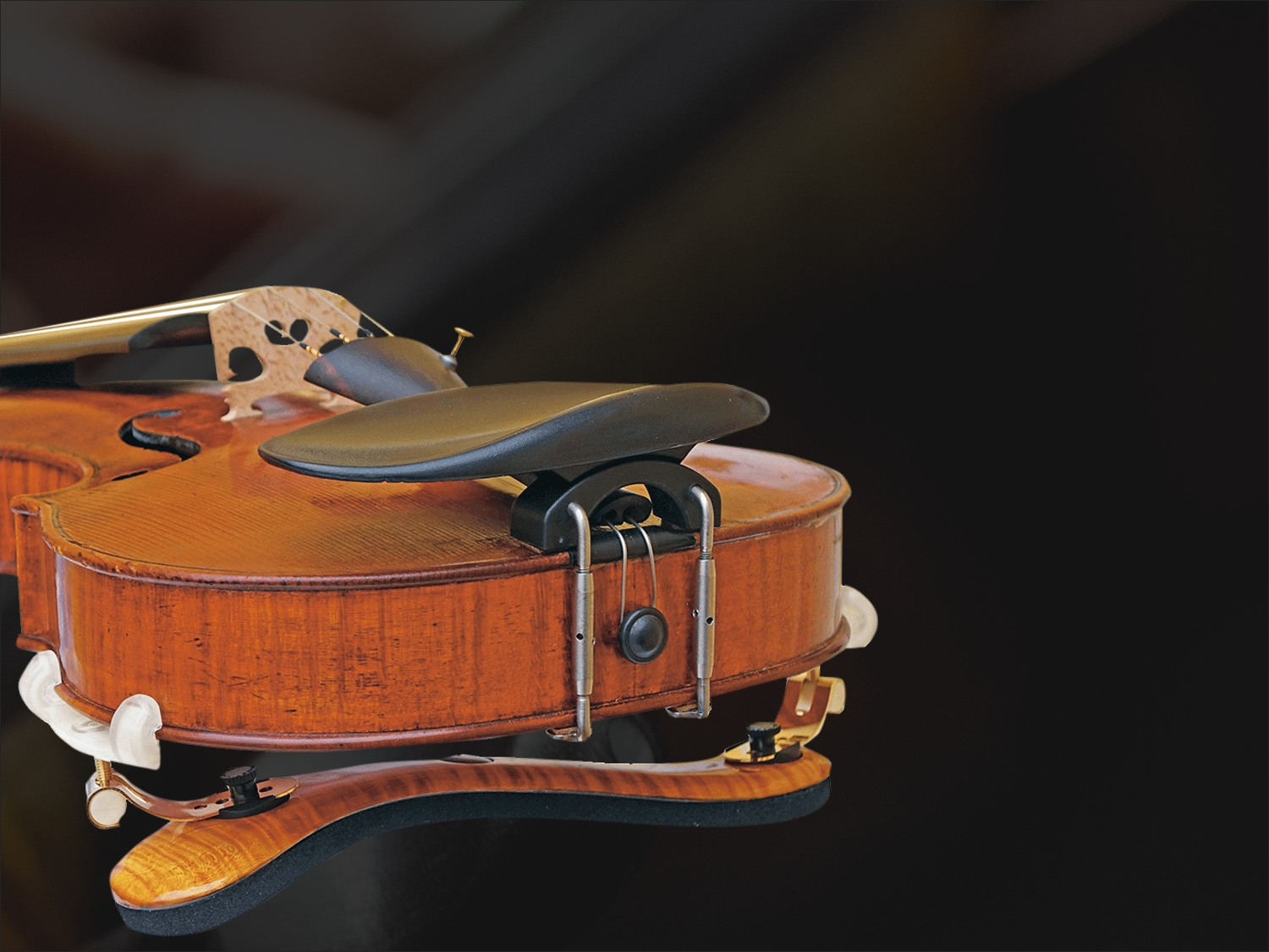 Viva La Musica Avgustin